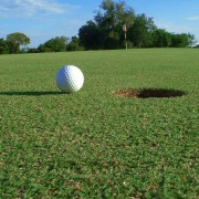 Golf Courses